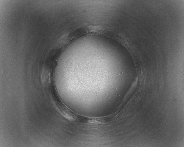 X0000079580703200612011218