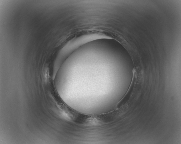 X0000079580704200612011218