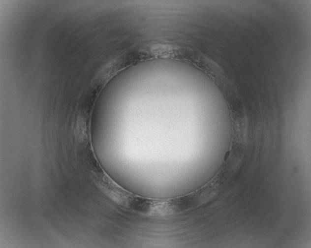 X0000079580705200612011218