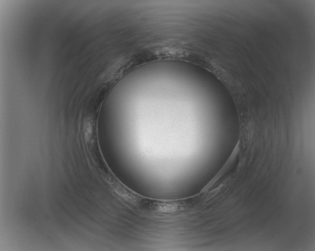 X0000079580709200612011218
