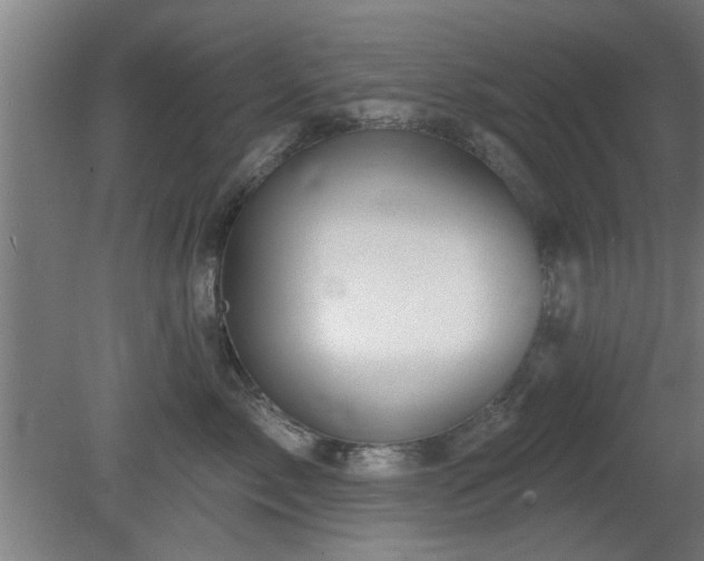 X0000079580717200612011218