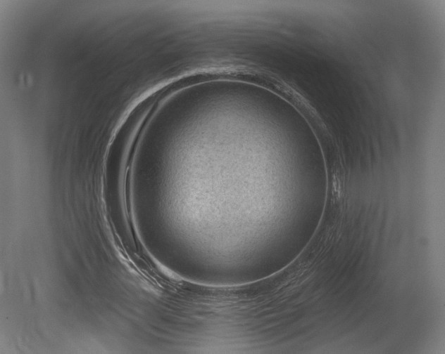 X0000079580724200612011217