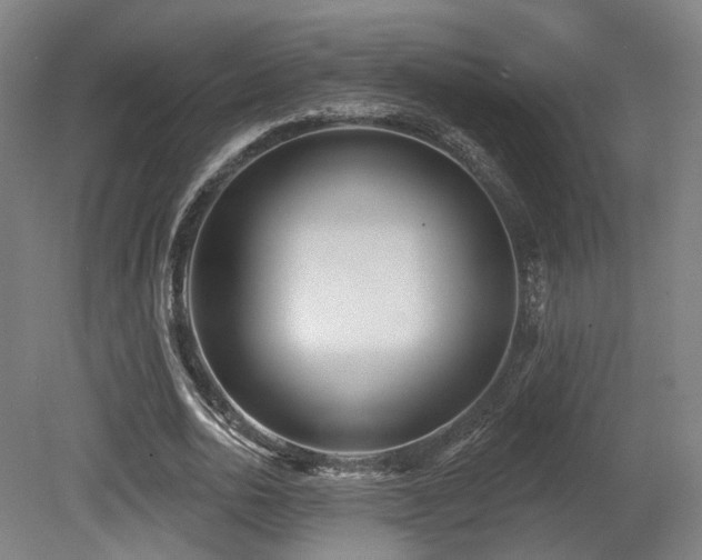 X0000079580726200612011217