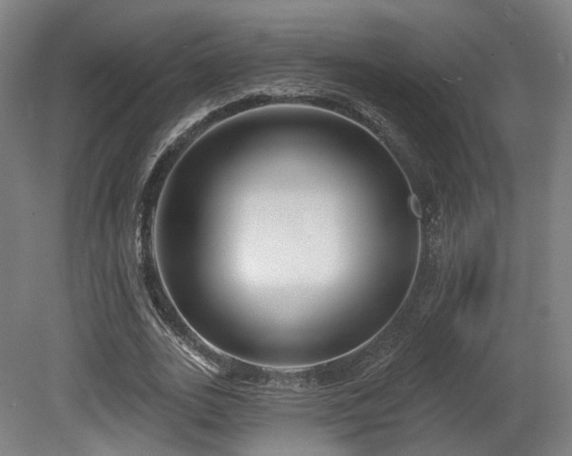 X0000079580727200612011217