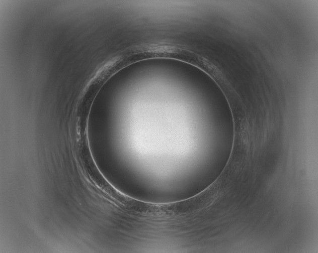X0000079580731200612011217