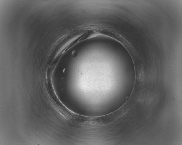 X0000079580733200612011217