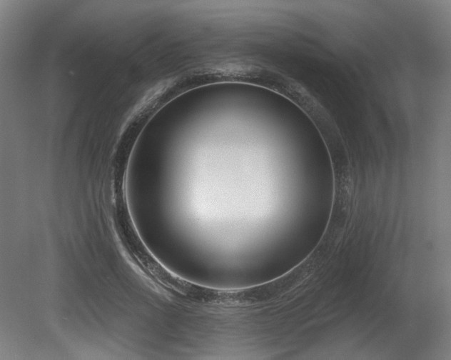 X0000079580734200612011217
