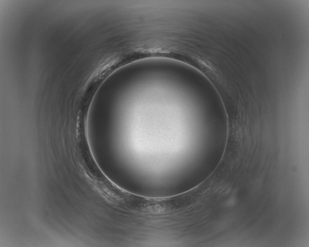 X0000079580735200612011217