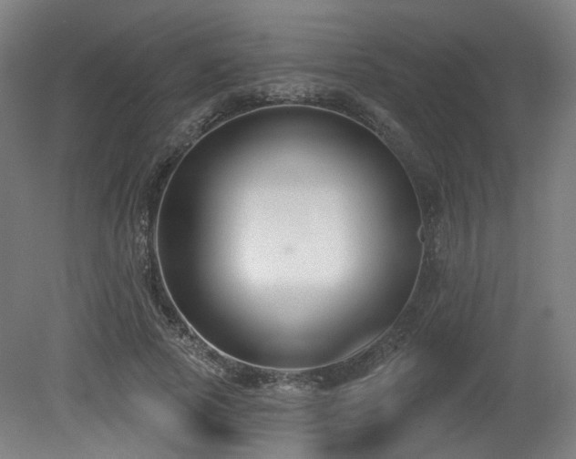 X0000079580737200612011217