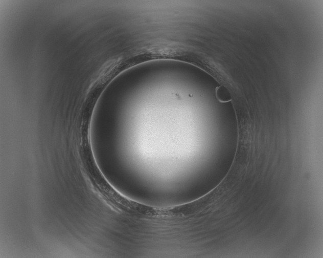 X0000079580738200612011217