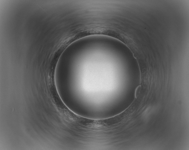 X0000079580743200612011217