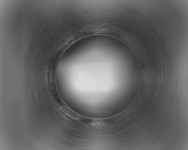 X0000079580752200612011218
