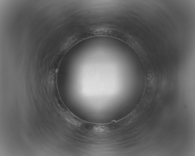 X0000079580753200612011218