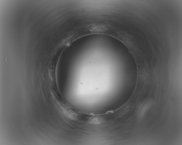 X0000079580755200612011218