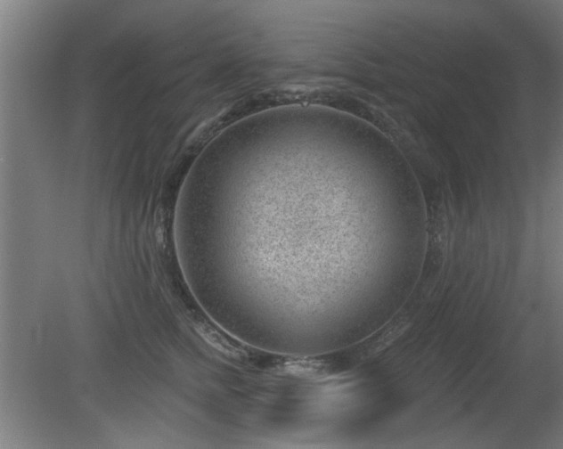 X0000079580758200612011218