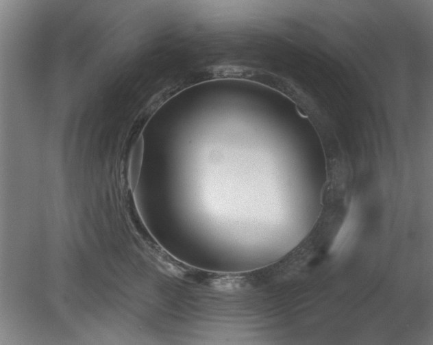 X0000079580761200612011218