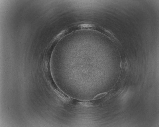 X0000079580763200612011218
