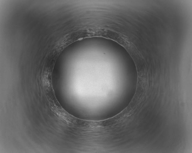 X0000079580770200612011217