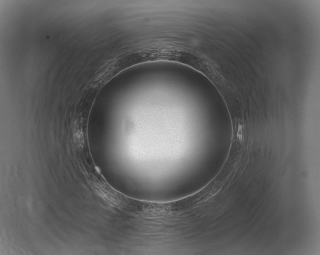 X0000079580771200612011217