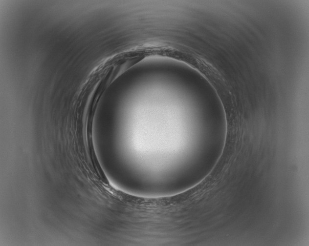X0000079580776200612011217