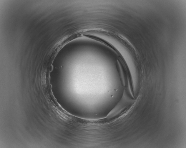X0000079580777200612011217