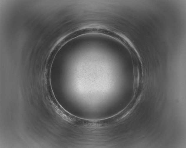 X0000079580783200612011217