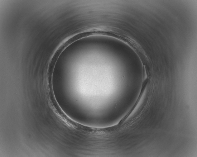 X0000079580784200612011217