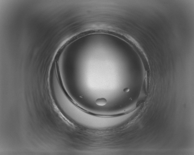 X0000079580791200612011217
