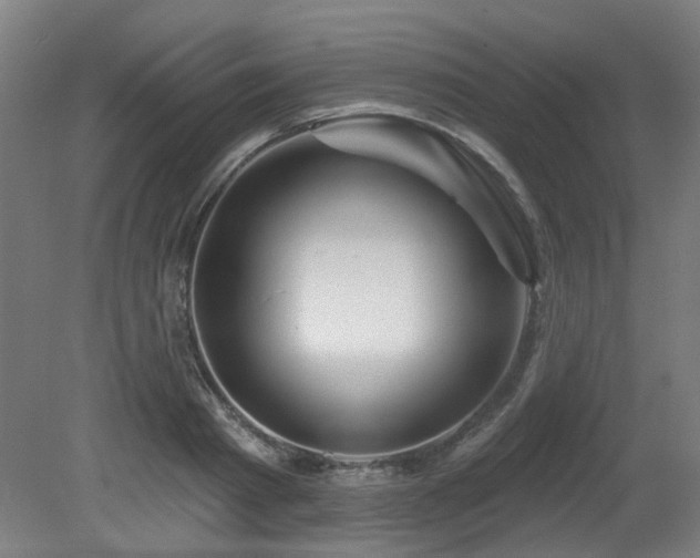 X0000079580793200612011217
