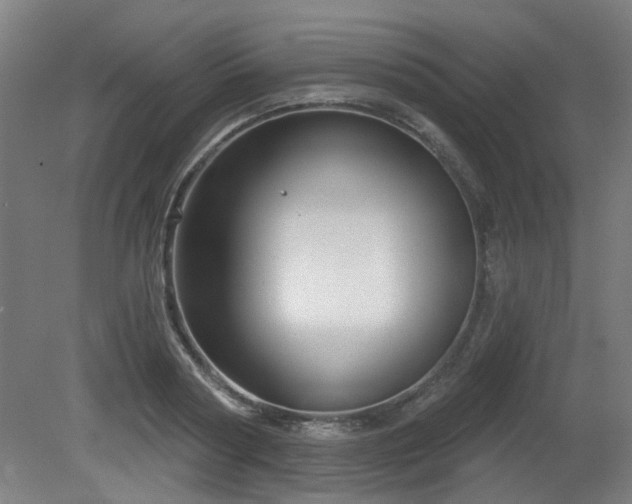 X0000079580794200612011217