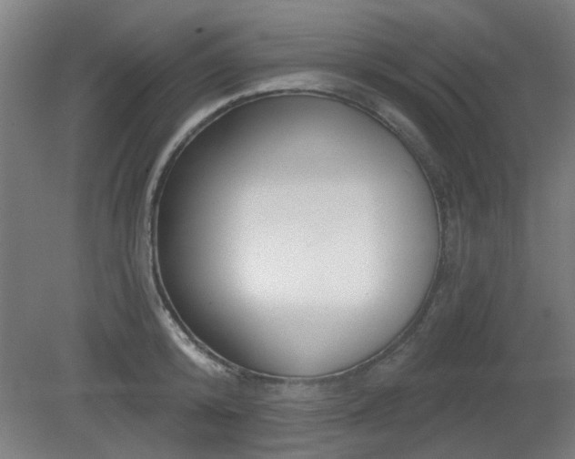 X0000079580800200612011216