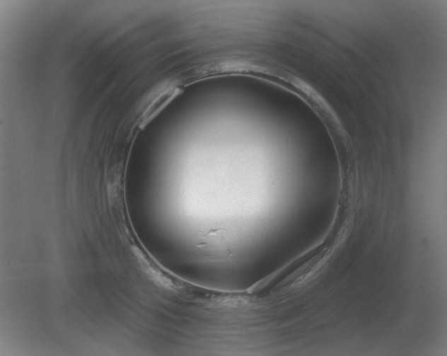X0000079580801200612011216