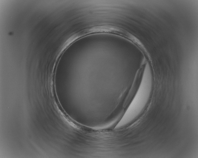 X0000079580802200612011216