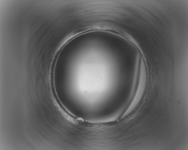 X0000079580803200612011216