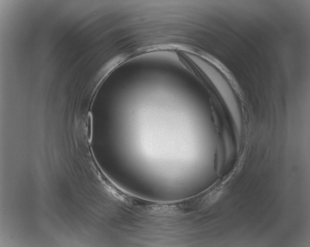X0000079580809200612011216