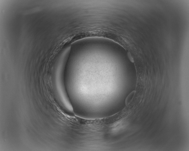 X0000079580817200612011215