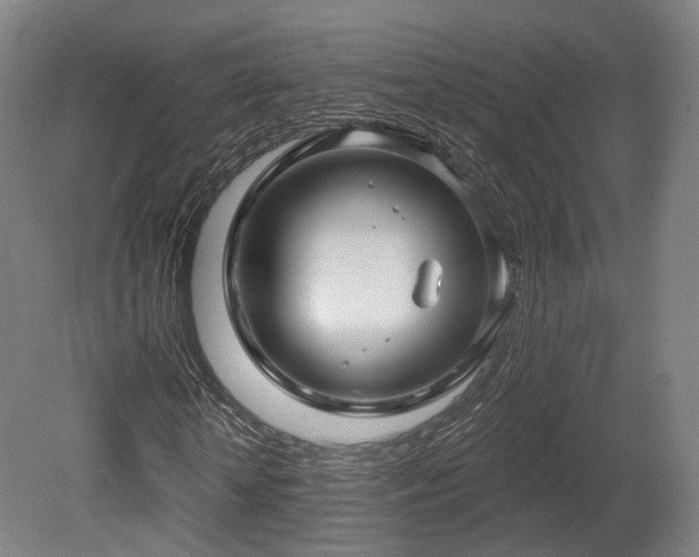X0000079580818200612011215