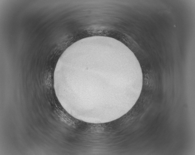 X0000079580820200612011215