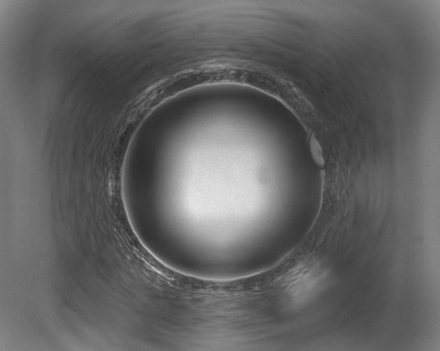 X0000079580821200612011215