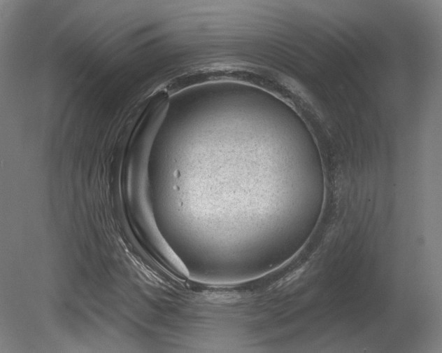 X0000079580825200612011216