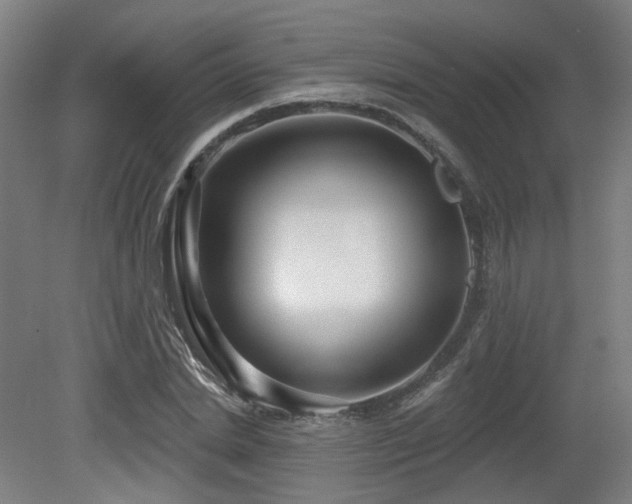 X0000079580830200612011216