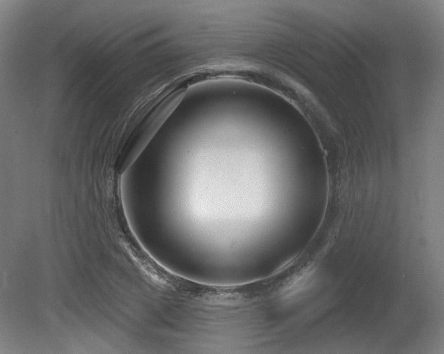 X0000079580833200612011216