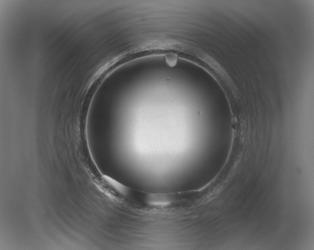 X0000079580834200612011216