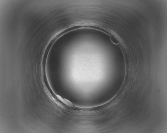 X0000079580840200612011216