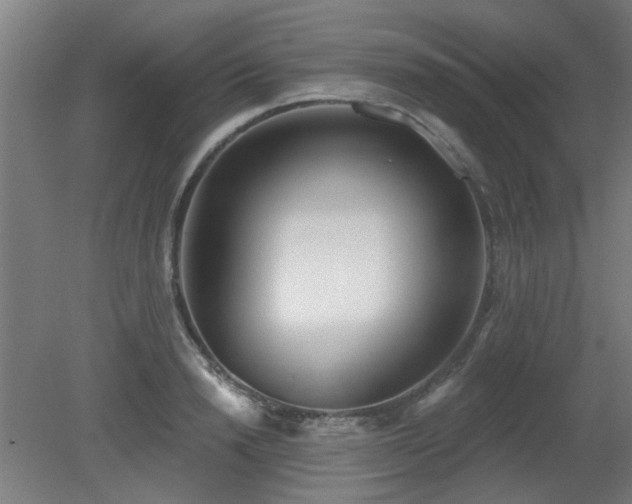 X0000079580846200612011216