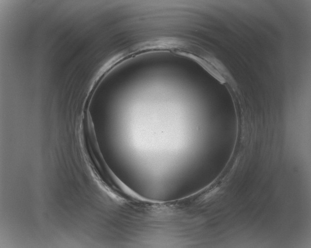 X0000079580850200612011216