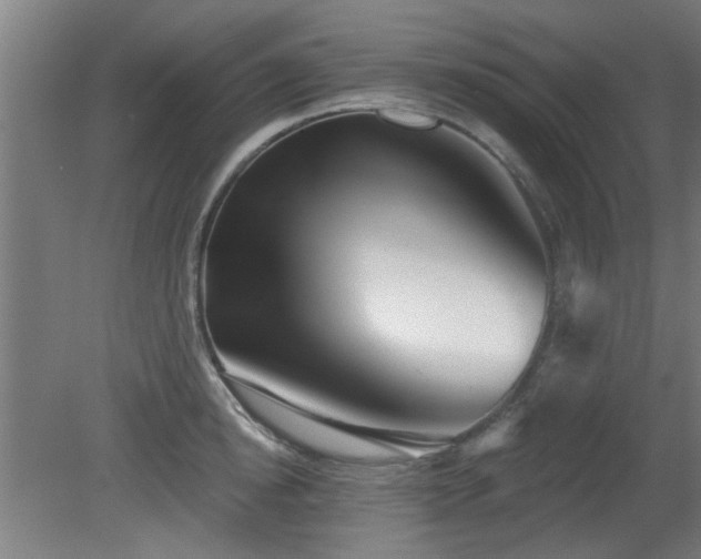 X0000079580854200612011216