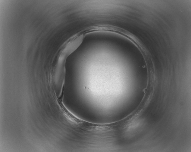 X0000079580857200612011216