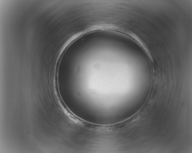 X0000079580861200612011216