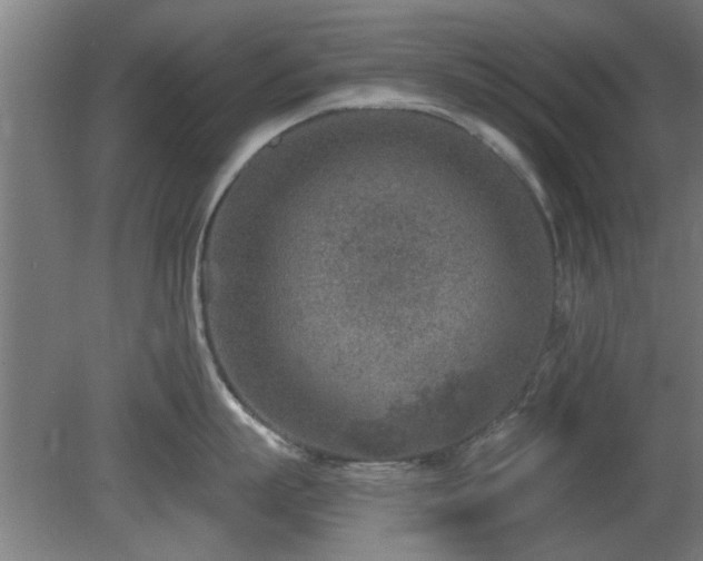 X0000079580863200612011216